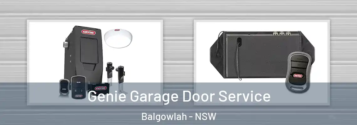 Genie Garage Door Service Balgowlah - NSW