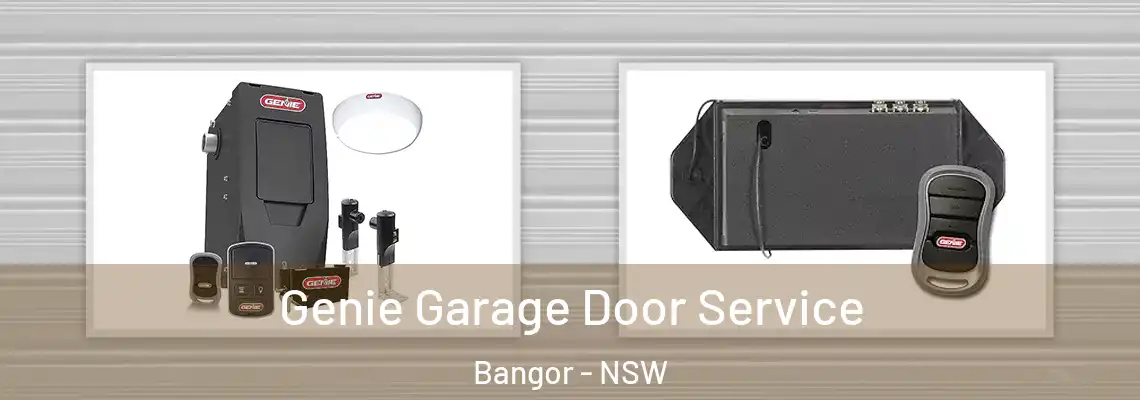 Genie Garage Door Service Bangor - NSW