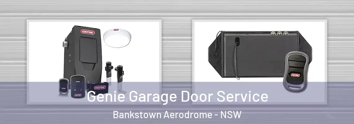 Genie Garage Door Service Bankstown Aerodrome - NSW