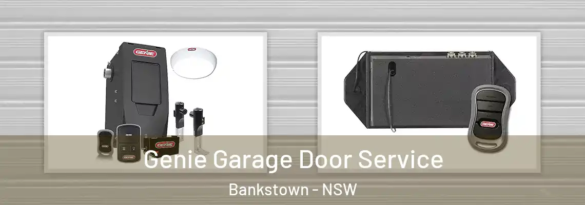 Genie Garage Door Service Bankstown - NSW