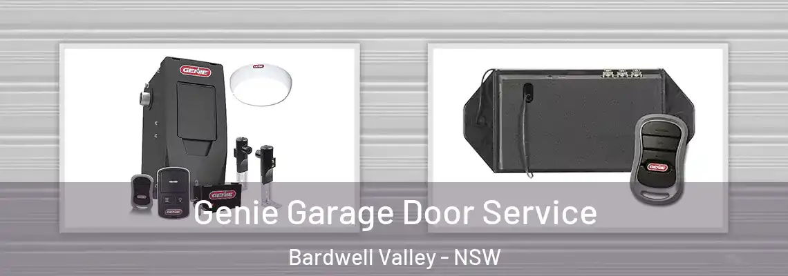 Genie Garage Door Service Bardwell Valley - NSW