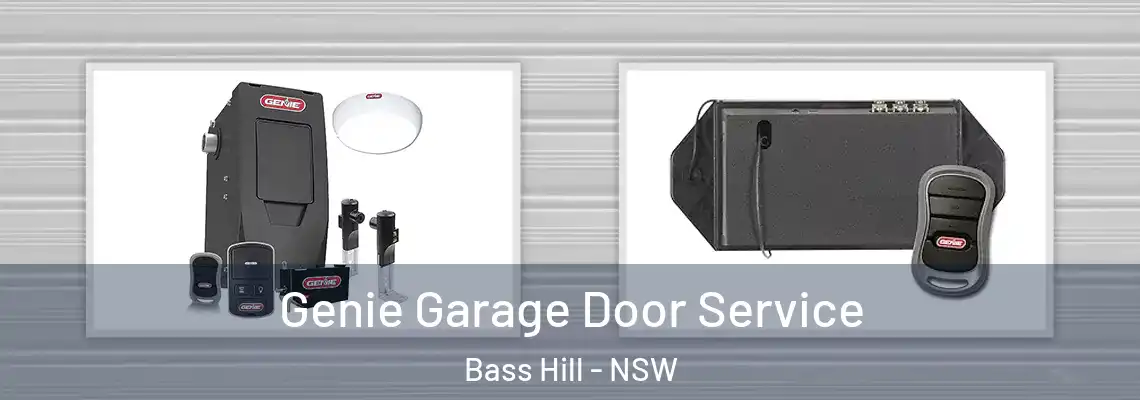 Genie Garage Door Service Bass Hill - NSW