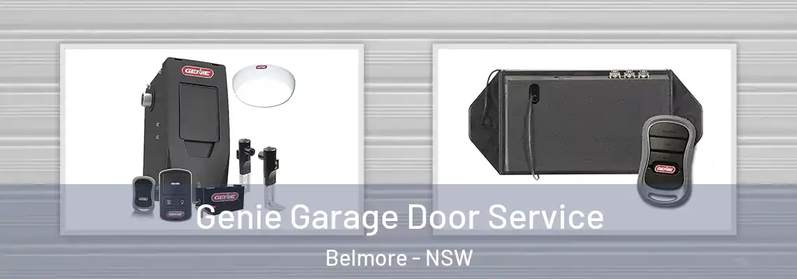 Genie Garage Door Service Belmore - NSW