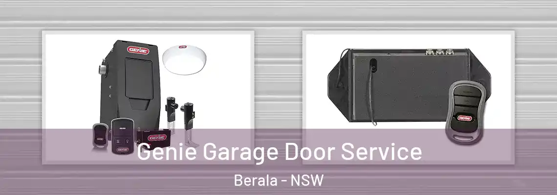 Genie Garage Door Service Berala - NSW