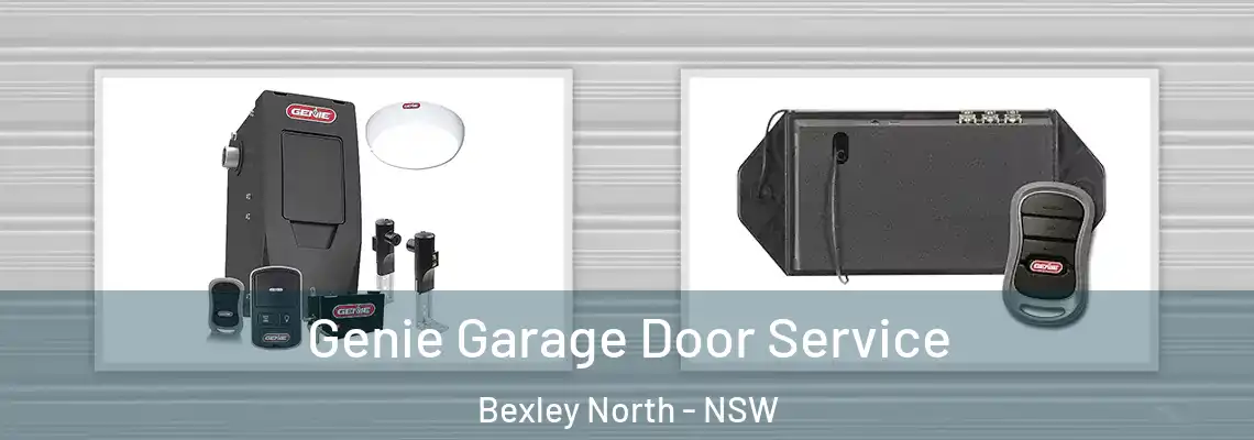 Genie Garage Door Service Bexley North - NSW