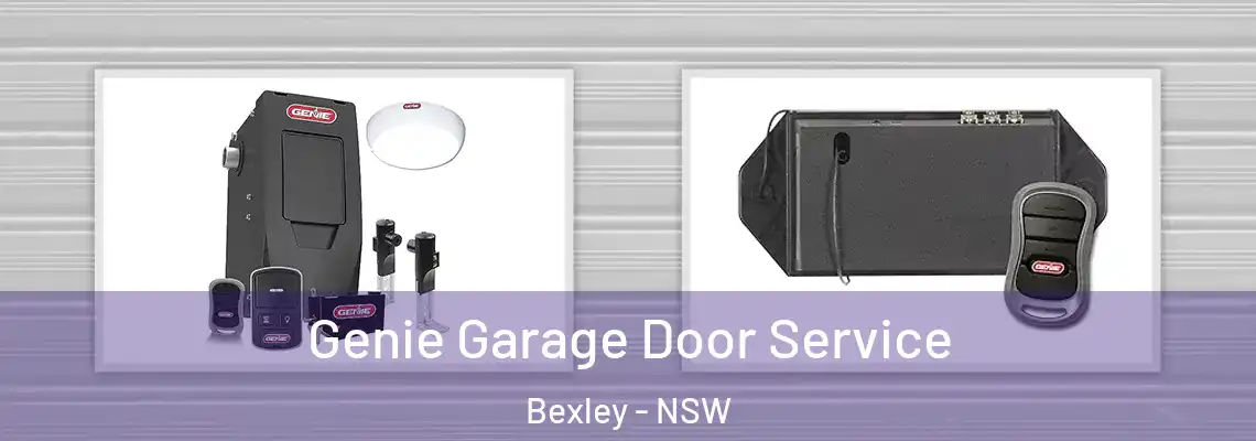  Genie Garage Door Service Bexley - NSW
