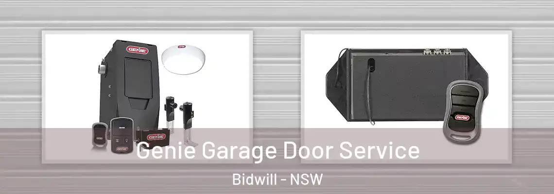 Genie Garage Door Service Bidwill - NSW