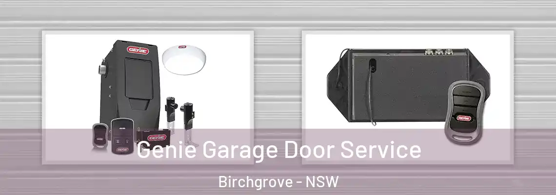 Genie Garage Door Service Birchgrove - NSW