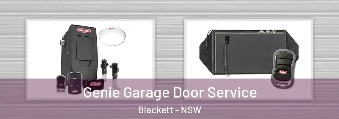 Genie Garage Door Service Blackett - NSW