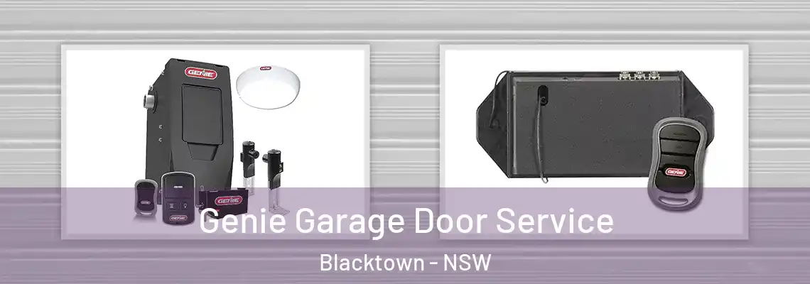 Genie Garage Door Service Blacktown - NSW