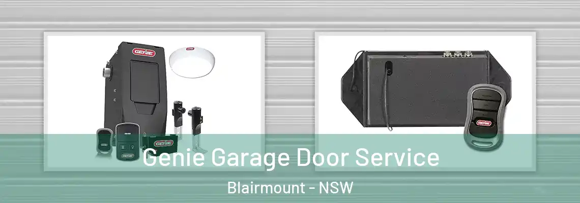 Genie Garage Door Service Blairmount - NSW