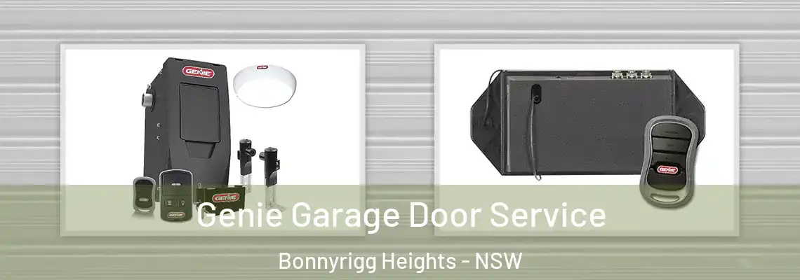 Genie Garage Door Service Bonnyrigg Heights - NSW