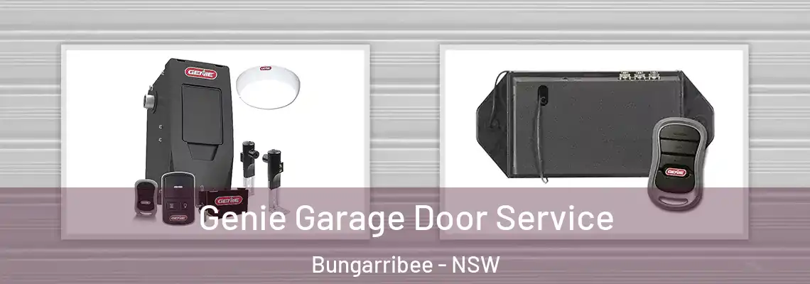  Genie Garage Door Service Bungarribee - NSW