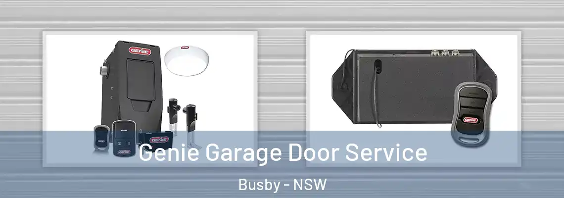 Genie Garage Door Service Busby - NSW