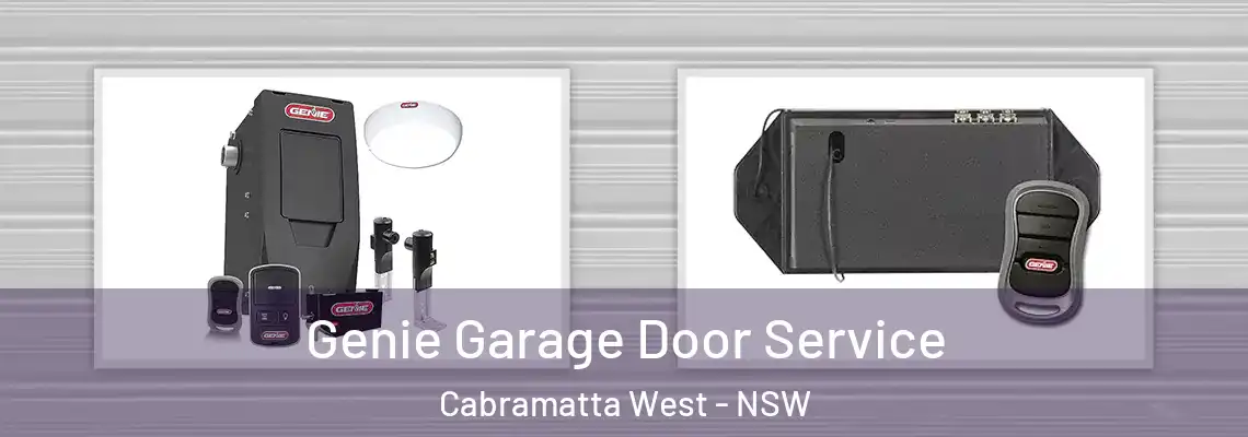 Genie Garage Door Service Cabramatta West - NSW