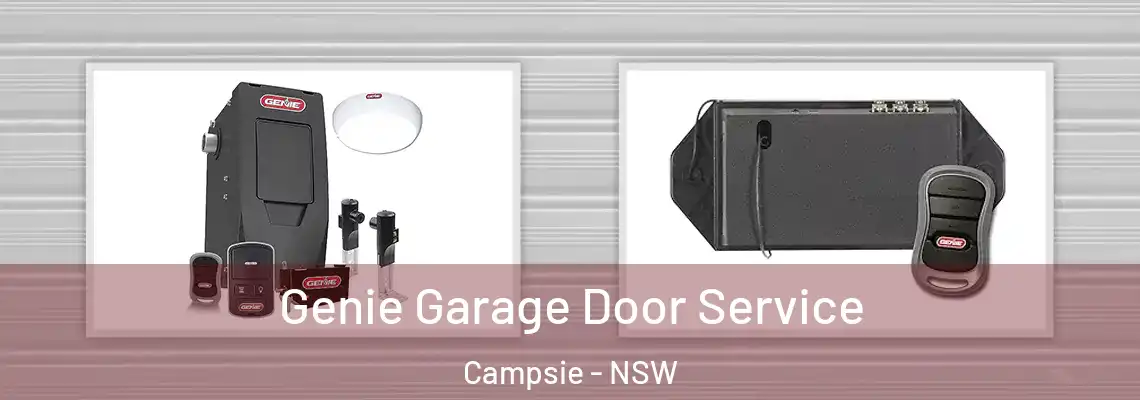 Genie Garage Door Service Campsie - NSW