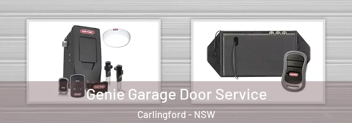 Genie Garage Door Service Carlingford - NSW