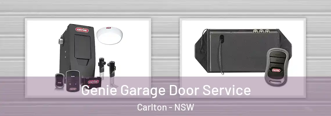 Genie Garage Door Service Carlton - NSW