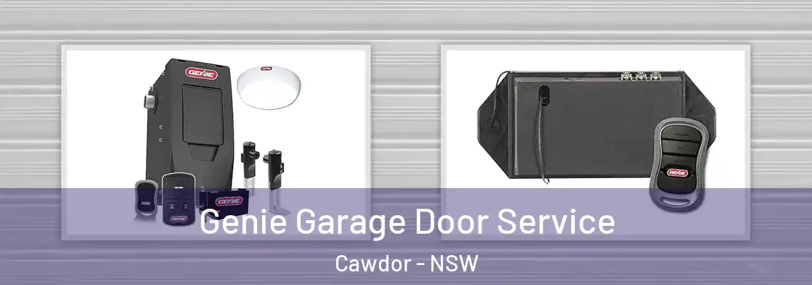 Genie Garage Door Service Cawdor - NSW