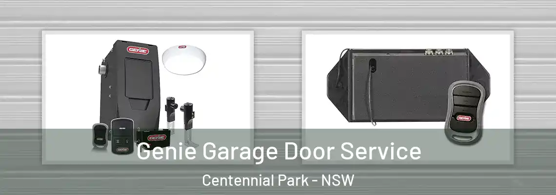 Genie Garage Door Service Centennial Park - NSW