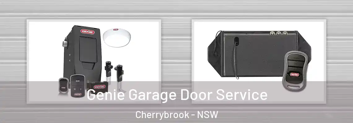 Genie Garage Door Service Cherrybrook - NSW