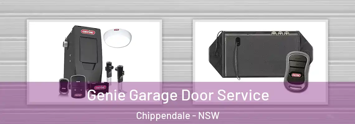 Genie Garage Door Service Chippendale - NSW