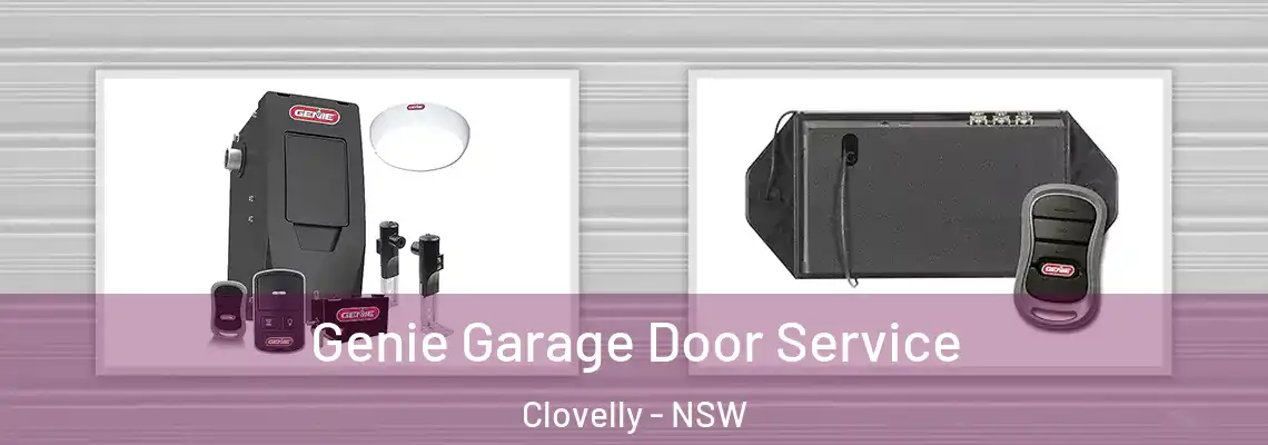 Genie Garage Door Service Clovelly - NSW