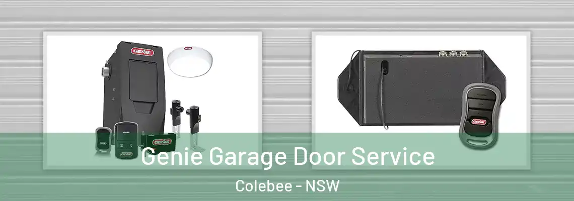 Genie Garage Door Service Colebee - NSW