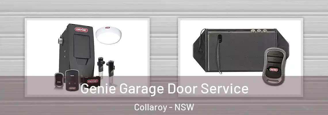 Genie Garage Door Service Collaroy - NSW