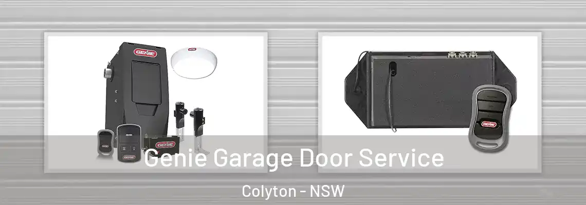 Genie Garage Door Service Colyton - NSW