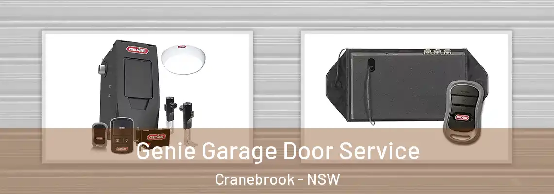 Genie Garage Door Service Cranebrook - NSW