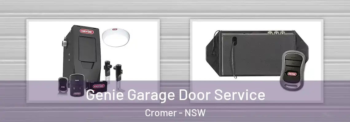 Genie Garage Door Service Cromer - NSW