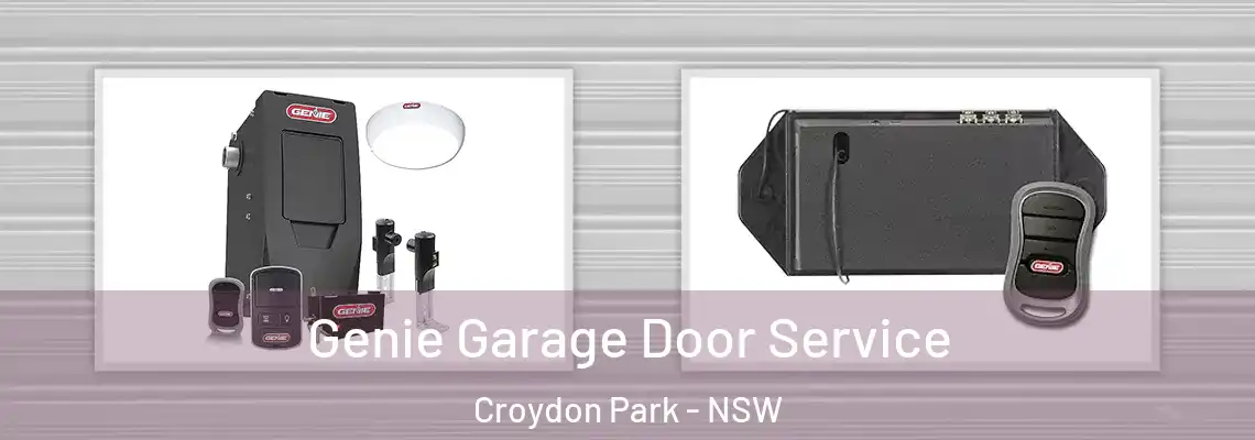 Genie Garage Door Service Croydon Park - NSW