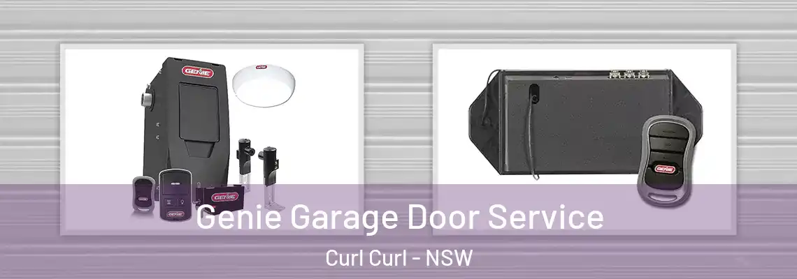 Genie Garage Door Service Curl Curl - NSW