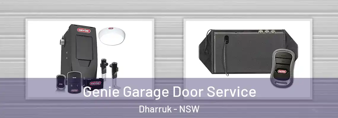 Genie Garage Door Service Dharruk - NSW