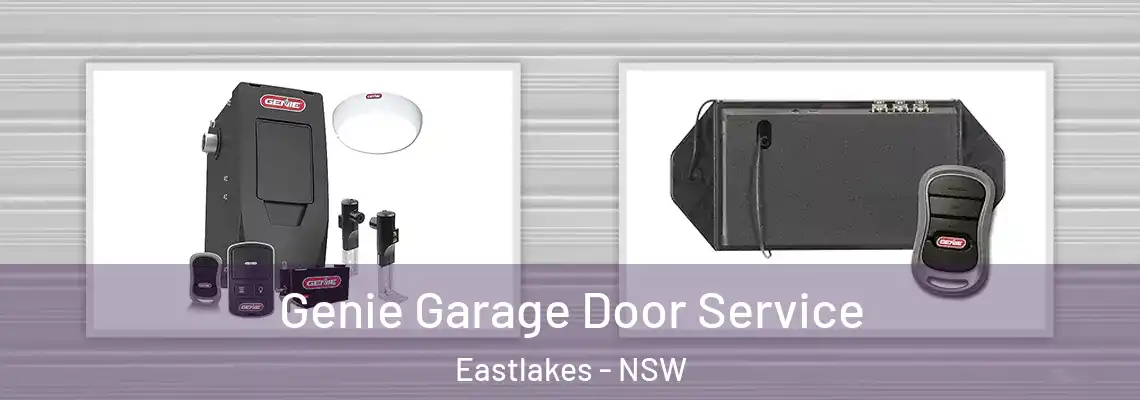 Genie Garage Door Service Eastlakes - NSW