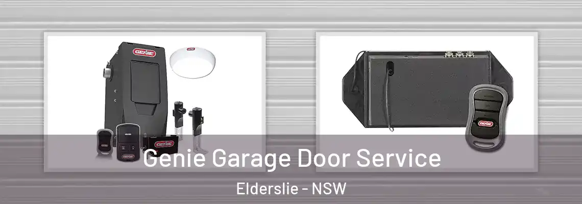 Genie Garage Door Service Elderslie - NSW