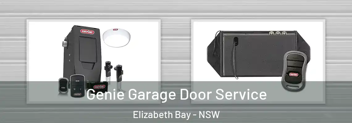 Genie Garage Door Service Elizabeth Bay - NSW