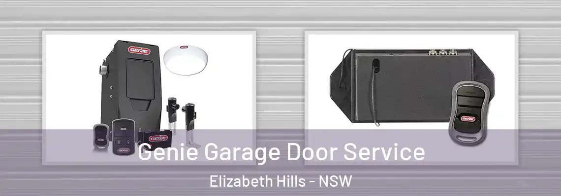  Genie Garage Door Service Elizabeth Hills - NSW