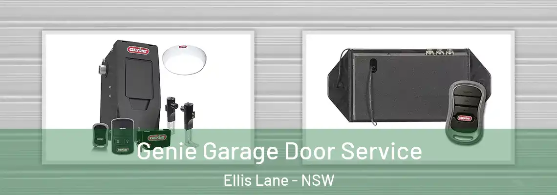 Genie Garage Door Service Ellis Lane - NSW