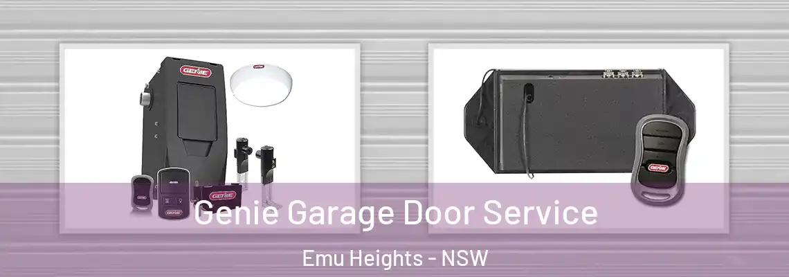 Genie Garage Door Service Emu Heights - NSW