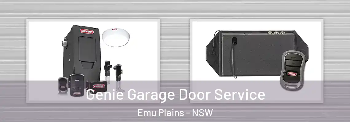 Genie Garage Door Service Emu Plains - NSW