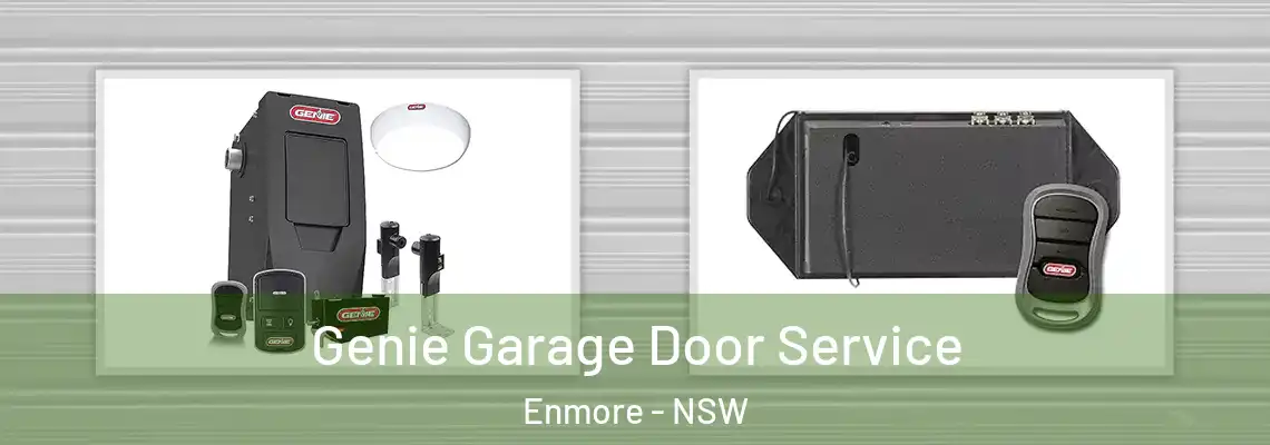 Genie Garage Door Service Enmore - NSW