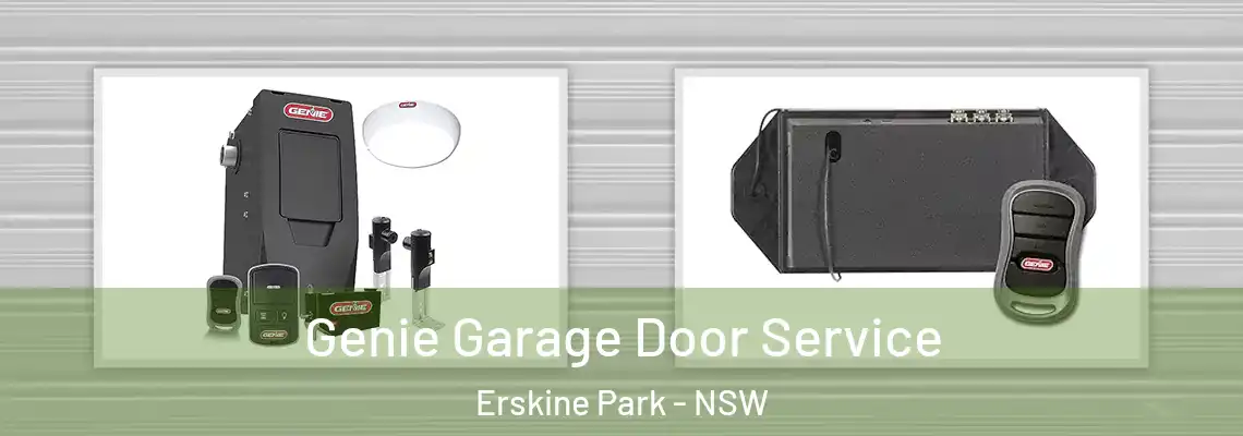 Genie Garage Door Service Erskine Park - NSW