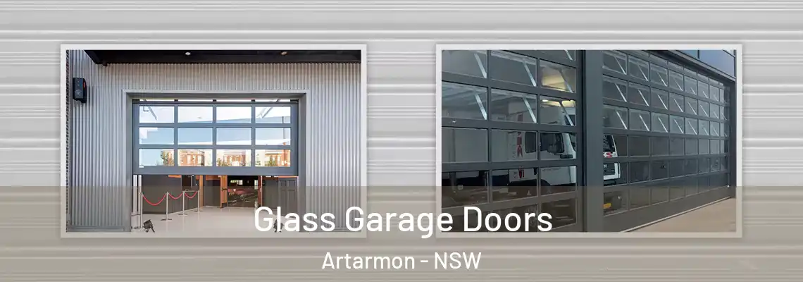 Glass Garage Doors Artarmon - NSW