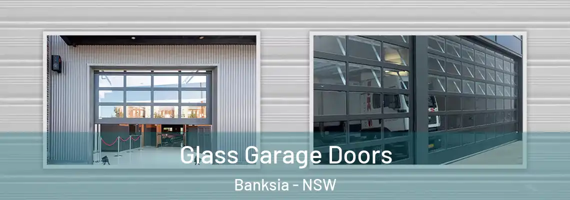 Glass Garage Doors Banksia - NSW