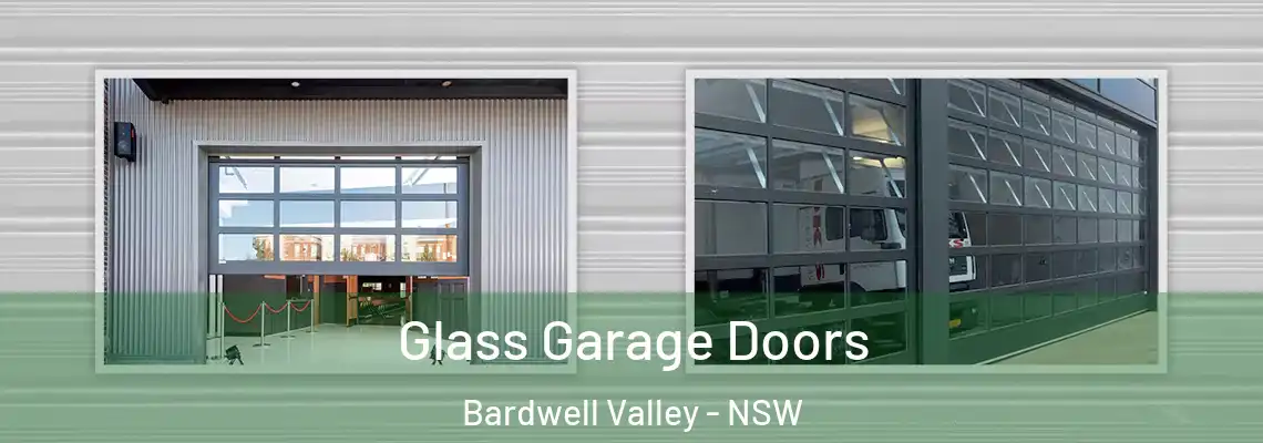 Glass Garage Doors Bardwell Valley - NSW