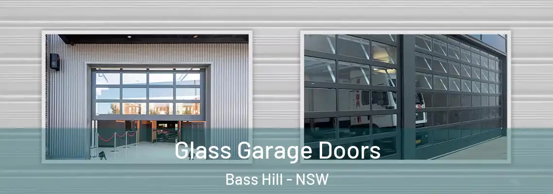 Glass Garage Doors Bass Hill - NSW