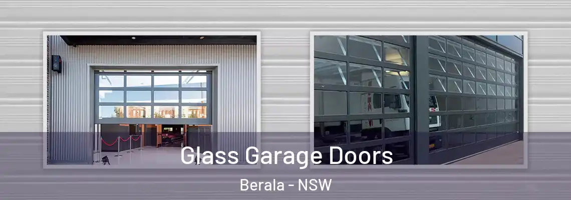  Glass Garage Doors Berala - NSW