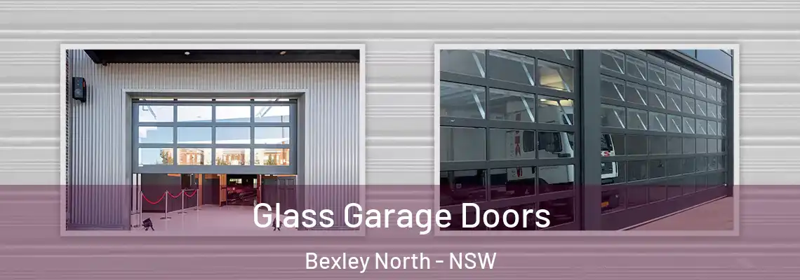 Glass Garage Doors Bexley North - NSW